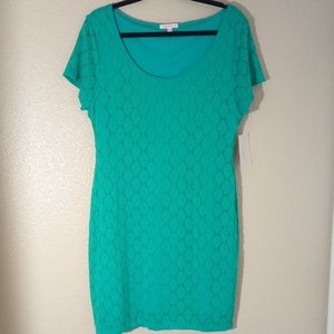 NWT Issac Mizrahi Stretch Lace Dress